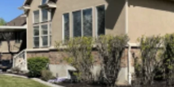 Diamond Tree Recovery